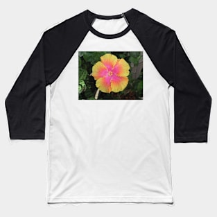 Pink and Yellow Hibiscus Baseball T-Shirt